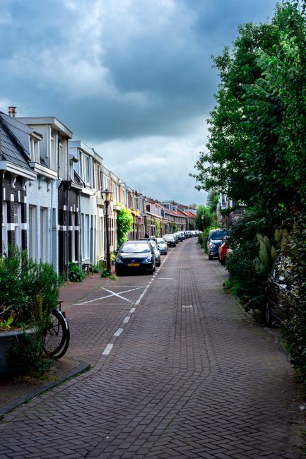Permits and street closure rules for Holland Park removals