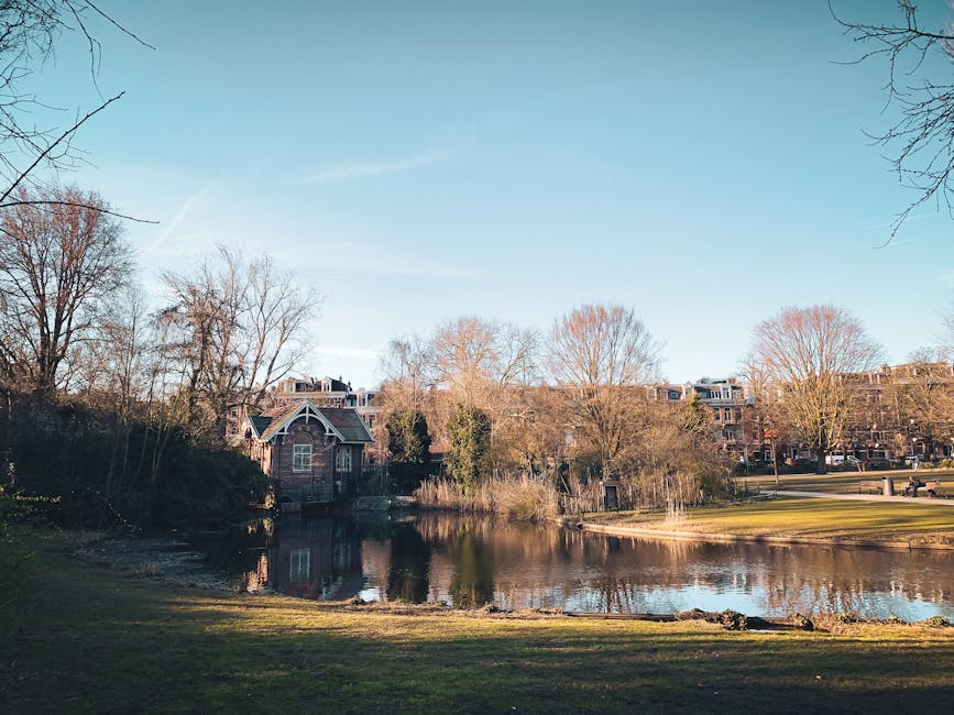 A daytime scene in a residential area near Holland Park showing a calm pond with a small fountain in the middle, surrounded by bare trees and neatly maintained grass. In the background, multi-story brick houses with slate roofs and large windows are visible, with some trees partially obscuring the buildings. The sky is clear and blue, providing natural lighting that highlights the outdoor environment. The scene captures a peaceful setting often associated with homes near Holland Park and Kyoto Garden, relevant to house removals and relocation services provided by Holland Park Movers. The image suggests an outdoor setting where furniture and boxes might be loaded into vans parked nearby, with a focus on the spacious, scenic surroundings typical of home relocation logistics.