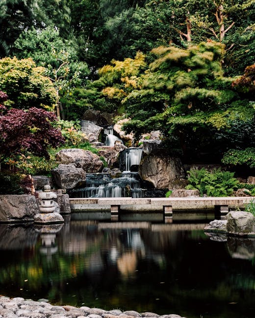 A tranquil Japanese-style garden featuring a reflective pond surrounded by vibrant pink and green trees, with some trees in full bloom and others with fresh green foliage. The pond is bordered by rocks and small shrubs, and a traditional stone lantern sits on a moss-covered rock near the water’s edge. Pathways made of gravel wind through the well-maintained grass and garden areas, with a gentle slope leading toward a dense backdrop of tall trees, creating a peaceful environment associated with house and furniture removals for homes near Holland Park and Kyoto Garden. The scene is illuminated by natural daylight, emphasizing the lush greenery and delicate blossoms, aligning with the context of home relocation and packing and moving services provided by Holland Park Movers at https://hollandparkmovers.co.uk.