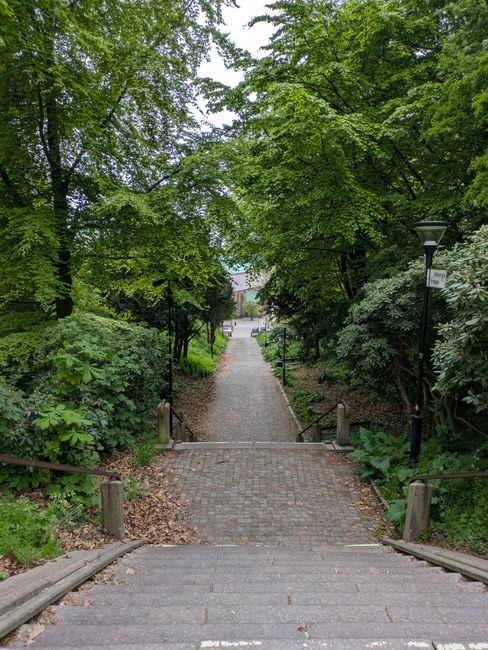 A photograph of a downward-sloping outdoor staircase made of concrete steps with metal railings on both sides, situated within a green, wooded area. The staircase is bordered by wooden posts and ropes, leading to a gravel pathway lined with tall, leafy trees and dense shrubbery. The pathway extends into the distance, with a slight incline visible further ahead, and street lamps are installed along the pathway. The surrounding environment appears peaceful and shaded, suitable for residential or park settings, with natural light filtering through the canopy of trees. This scene is relevant to house removals and moving services, highlighting potential challenges with staircase access during furniture transport, as managed by Holland Park Movers.