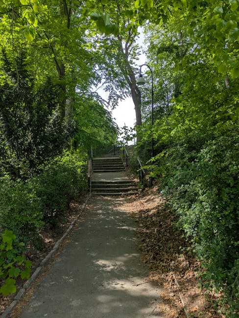 A modern exterior staircase with metal railings and white steps, positioned against a dark grey building wall with horizontal siding. The staircase is connected to a narrow outdoor area, with concrete paving stones and green grass in the foreground. The image depicts a location with limited access for moving large items, reflecting potential staircase access problems during a home relocation. This scene relates to house removals and furniture transport, where careful planning is required to navigate tight staircases, as typically managed by Holland Park Movers in moving and packing services.