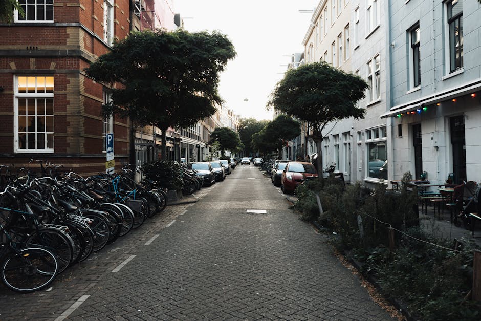 A narrow residential street in Holland Park showing parked cars lining both sides alongside a row of bicycles secured to metal bike racks on the left, with additional parked vehicles further down the street. Mature trees with dense, rounded green canopies are situated along the sidewalks, providing shade and greenery in the urban setting. To the right, there is a row of outdoor tables and chairs outside cafes and shops, some decorated with string lights. The buildings feature traditional brick and modern facades, with windows and doors visible. The street appears calm and clean, with a soft, natural daylight illuminating the scene, capturing the typical environment during home removals or furniture transport operations near Holland Park, as managed by Holland Park Movers.
