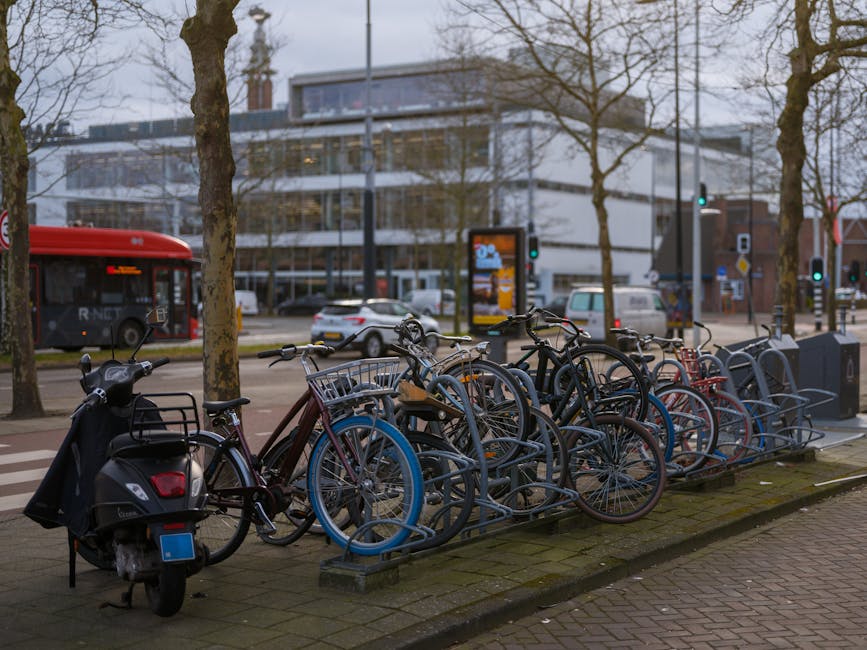 A narrow residential street in Holland Park showing parked cars lining both sides alongside a row of bicycles secured to metal bike racks on the left, with additional parked vehicles further down the street. Mature trees with dense, rounded green canopies are situated along the sidewalks, providing shade and greenery in the urban setting. To the right, there is a row of outdoor tables and chairs outside cafes and shops, some decorated with string lights. The buildings feature traditional brick and modern facades, with windows and doors visible. The street appears calm and clean, with a soft, natural daylight illuminating the scene, capturing the typical environment during home removals or furniture transport operations near Holland Park, as managed by Holland Park Movers.